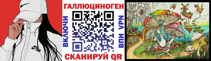 Купить  Бавлы  Псилоцибиновые грибы MAGIC MUSHROOMS 
