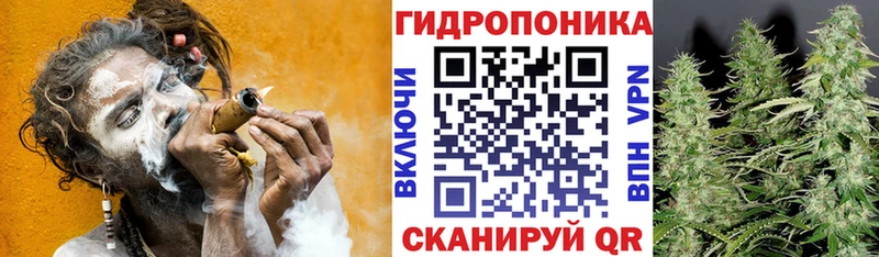 Бошки марихуана THC 21%  Купить  Бавлы 